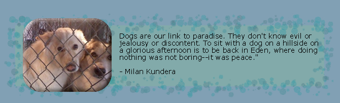 Dogs are our link to paradise.